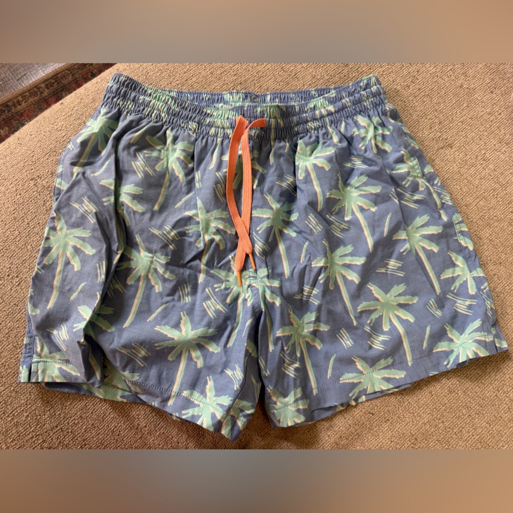 Men's Chubbies Swim
